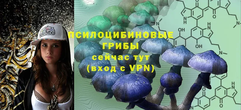 Галлюциногенные грибы Magic Shrooms  даркнет сайт  Сальск 